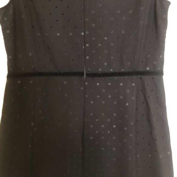 Talbots Classic Ponte Knit with Velvet Polka Dots Fit and Flare Dress Size 10 - Picture 5 of 12